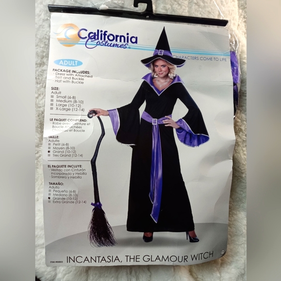 California Costumes Other - Incantasia Glamour witch costume